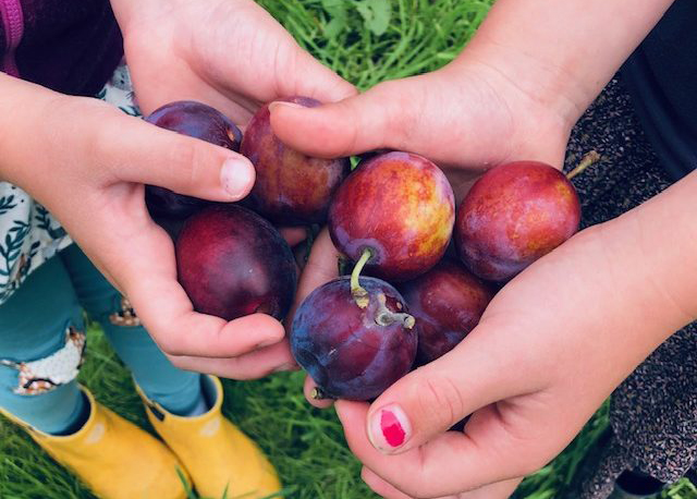 IMG_2304-640x500 IMG_2304-640x500