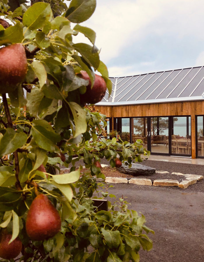 helgobakkane-4 helgobakkane-4