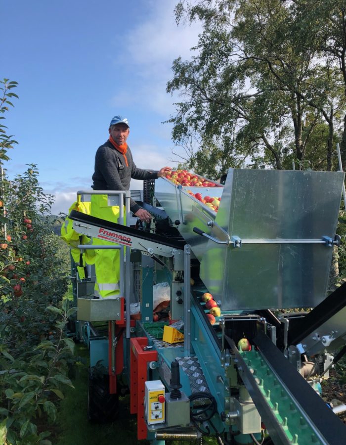 helgobakkane-5 helgobakkane-5