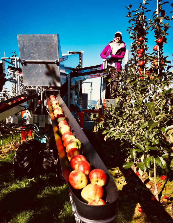 helgoybakkane-1 helgoybakkane-1