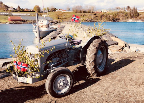 helgoybakkane1 helgoybakkane1